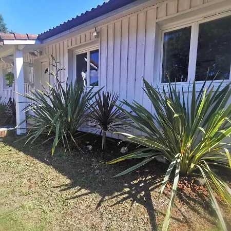 Villa Milea - Cap-ferret